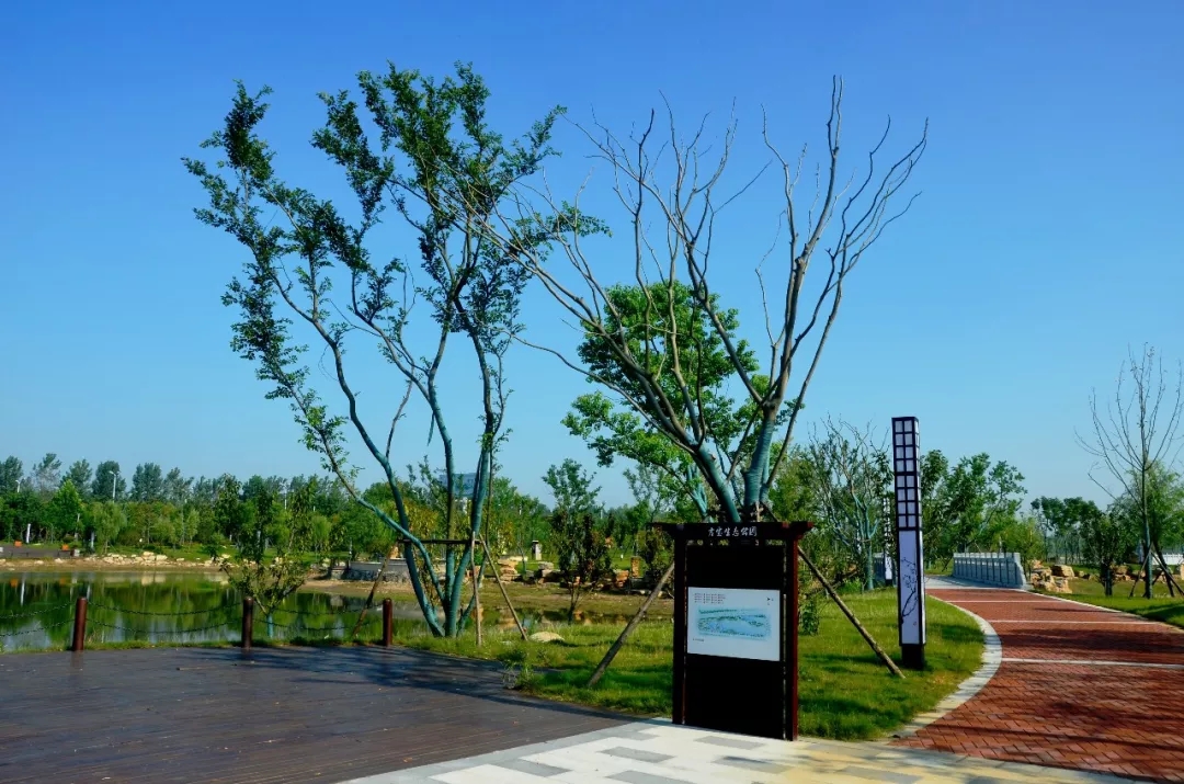 【華藝?匠心】吉寶生態(tài)公園精品賞析