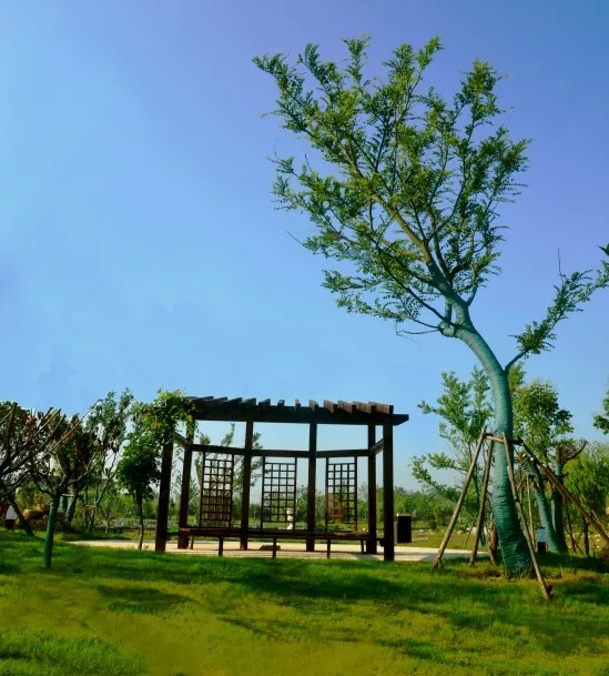 【華藝?匠心】吉寶生態(tài)公園精品賞析