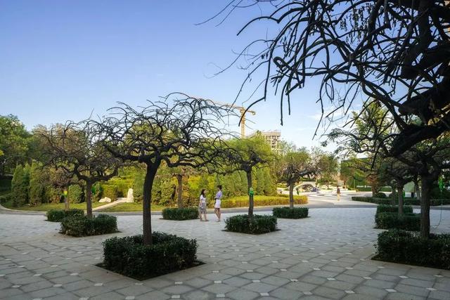 復興亞洲傳統造園文化的空間