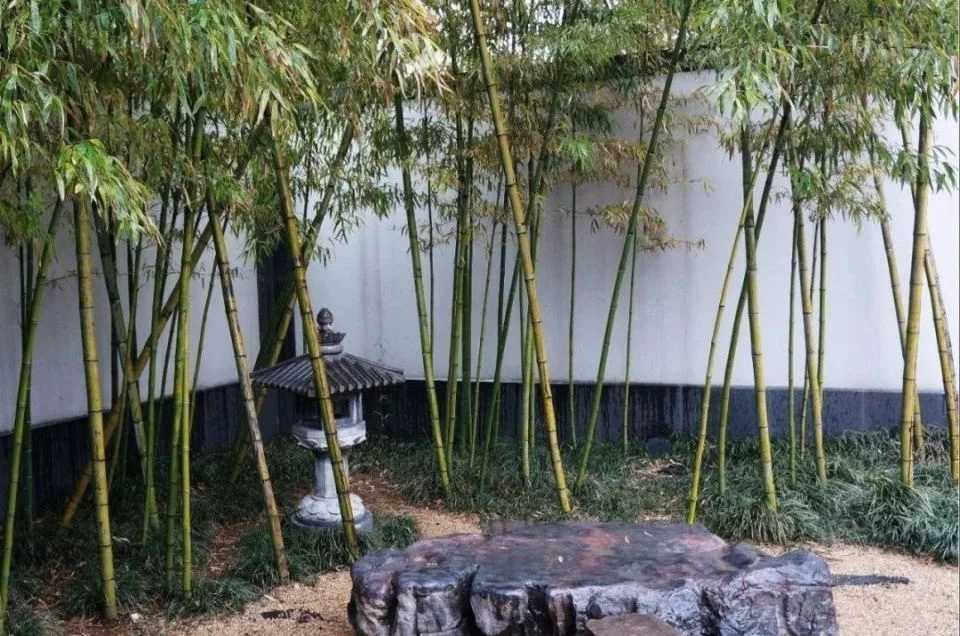 中式建筑的回歸與創(chuàng)新