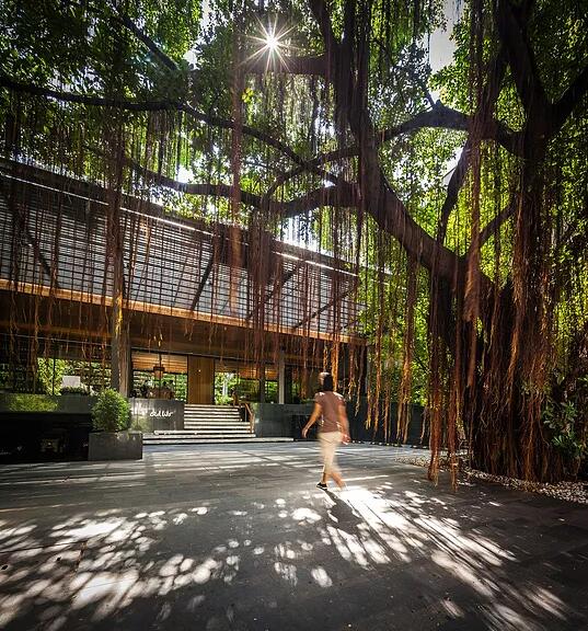 泰國曼谷Ad lib酒店景觀設計