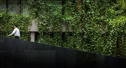 泰國曼谷Ad lib酒店景觀設計