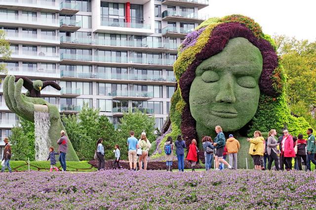 加拿大渥太華植物雕塑作品展,中國作品歡迎