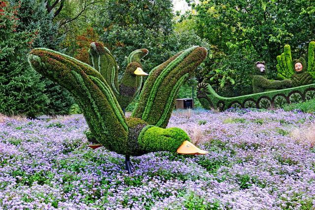 加拿大渥太華植物雕塑作品展,中國作品歡迎