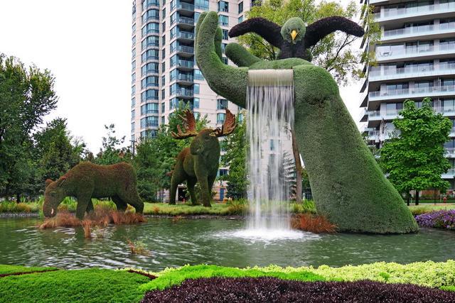 加拿大渥太華植物雕塑作品展,中國作品歡迎