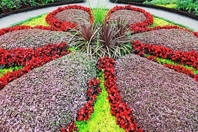 加拿大渥太華植物雕塑作品展,中國作品歡迎