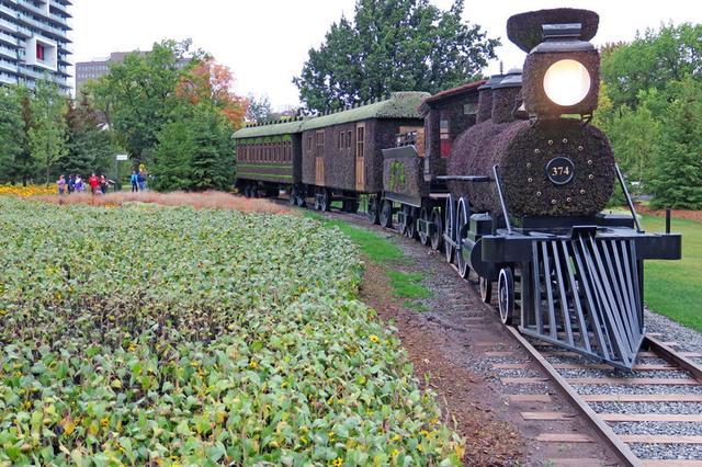 加拿大渥太華植物雕塑作品展,中國作品歡迎