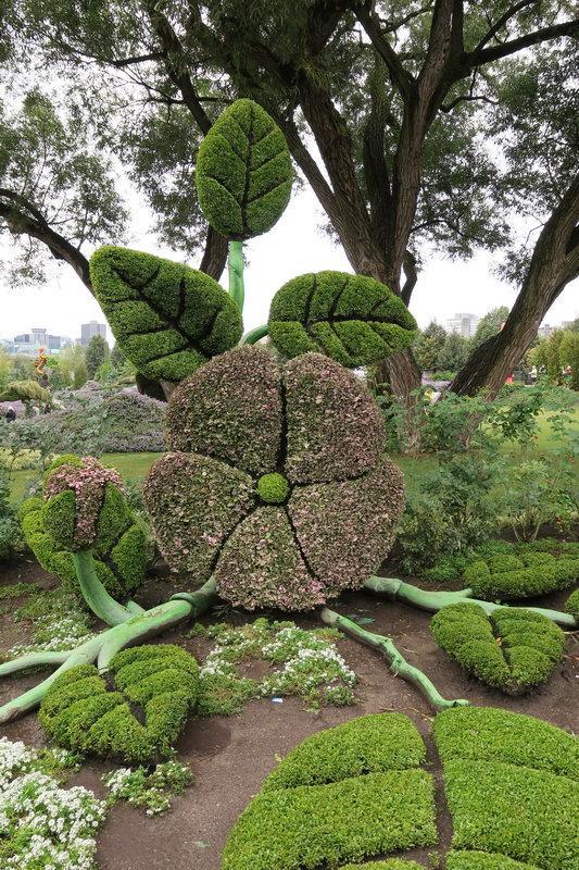 加拿大渥太華植物雕塑作品展,中國作品歡迎