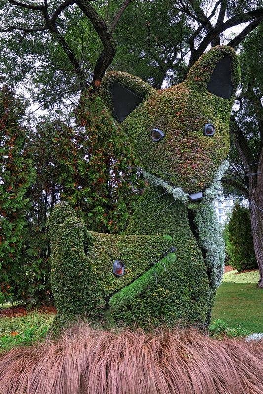 加拿大渥太華植物雕塑作品展,中國作品歡迎