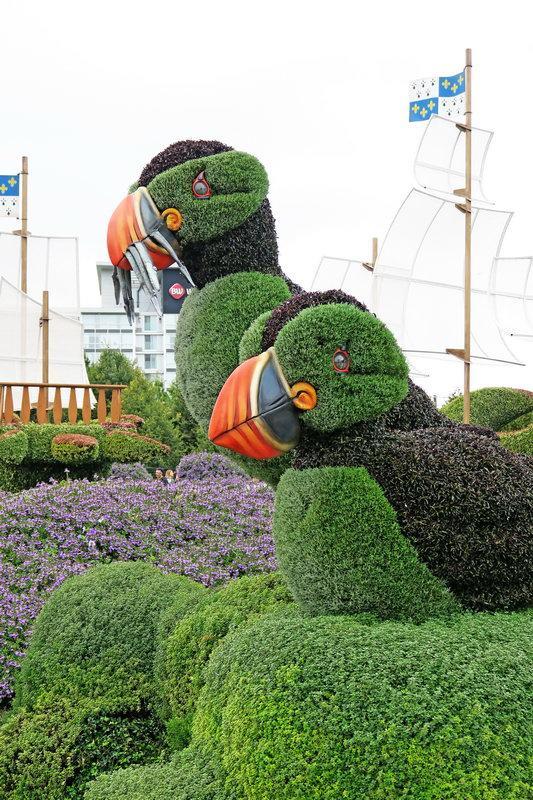 加拿大渥太華植物雕塑作品展,中國作品歡迎