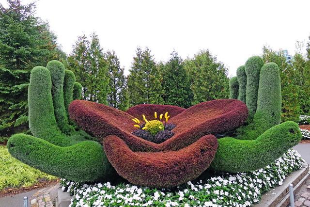 加拿大渥太華植物雕塑作品展,中國作品歡迎