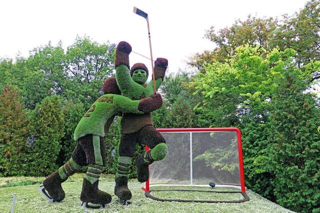 加拿大渥太華植物雕塑作品展,中國作品歡迎