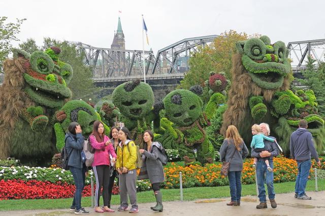 加拿大渥太華植物雕塑作品展,中國作品歡迎