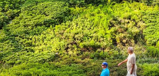 泰國曼谷城市步道景觀設(shè)計(jì)