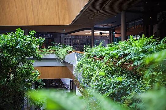 泰國曼谷城市步道景觀設(shè)計(jì)