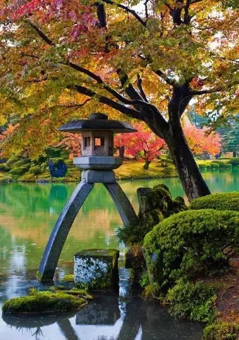 佛系庭院,就是極致空靈!