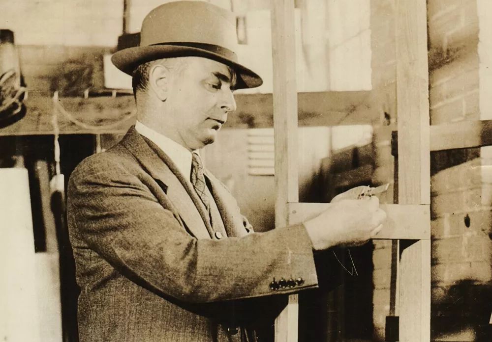 植物可以協助破案？