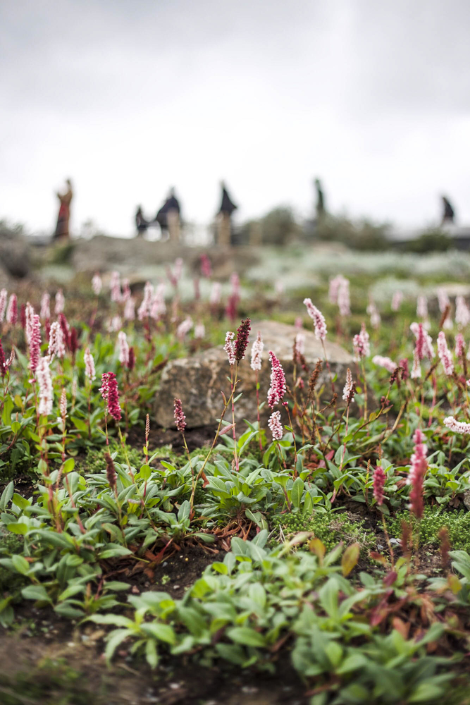 俄羅斯莫斯科Zaryadye公園