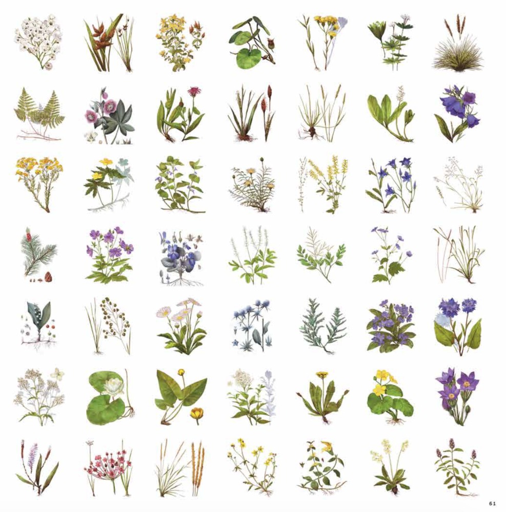 俄羅斯莫斯科Zaryadye公園