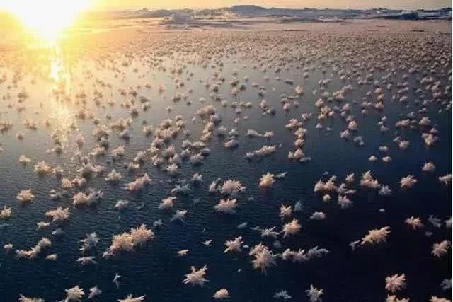 加拿大各地寒冷意外出現太陽光柱的自然景觀