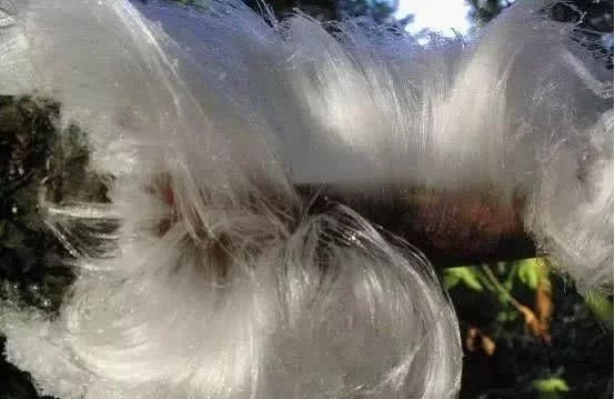 加拿大各地寒冷意外出現太陽光柱的自然景觀