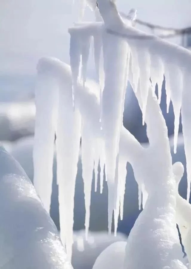加拿大各地寒冷意外出現太陽光柱的自然景觀