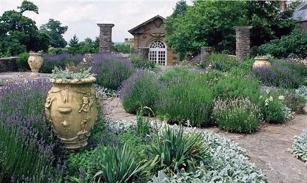 混合花境設(shè)計(jì)與種植建議