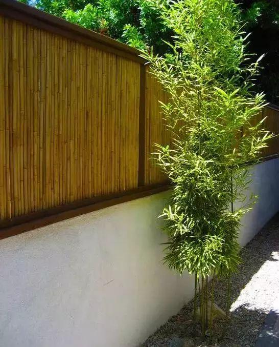 別墅庭院圍墻必備的5種設(shè)計!