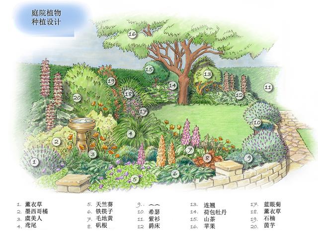 庭院設計常見草花目錄