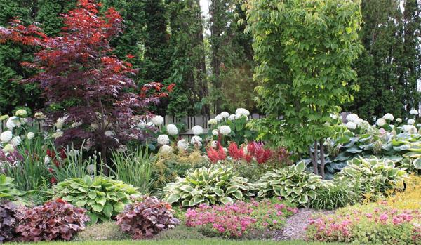 庭院設計常見草花目錄