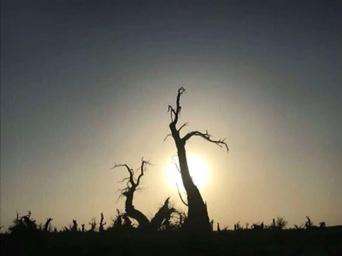 阿拉爾2個國家沙漠公園建設獲批