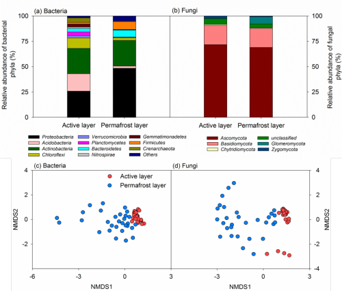 植物所凍土區微生物多樣性研究取得進展