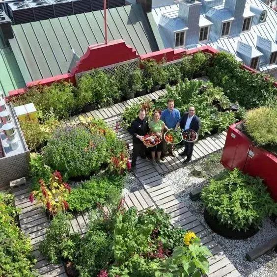 屋頂花園又不是說說而已