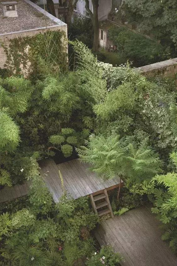 屋頂花園又不是說說而已