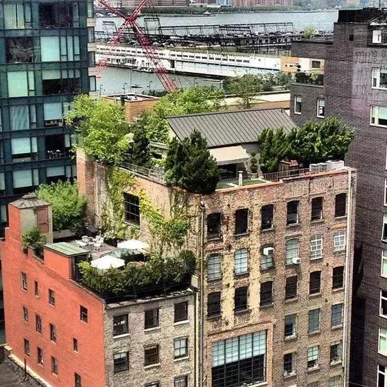 屋頂花園又不是說說而已