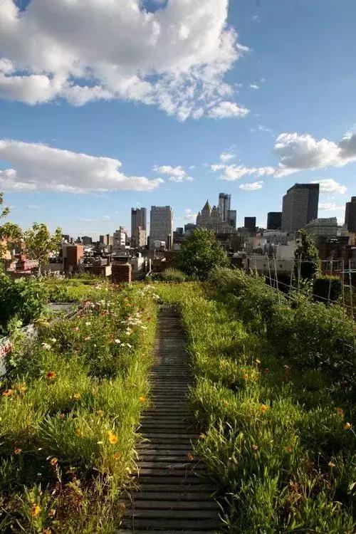 屋頂花園又不是說說而已