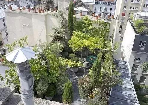 屋頂花園又不是說說而已