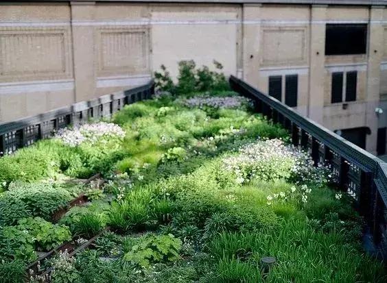 屋頂花園又不是說說而已