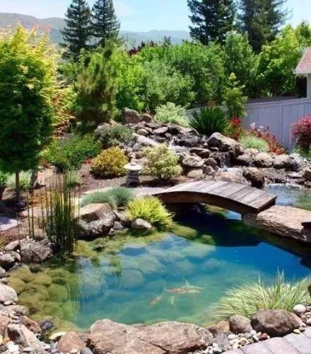 植物與水的搭配讓景觀充滿詩情畫意