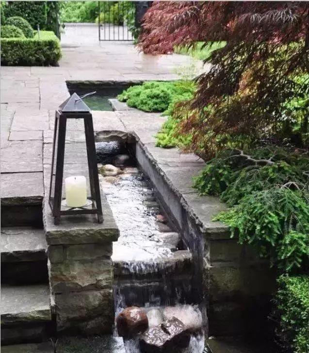 植物與水的搭配讓景觀充滿詩情畫意