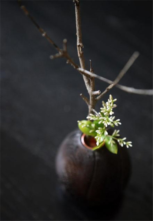 令你耳目一新的意境花藝