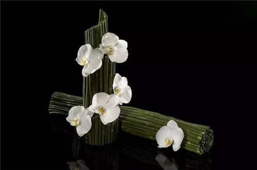 令你耳目一新的意境花藝