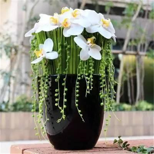 令你耳目一新的意境花藝