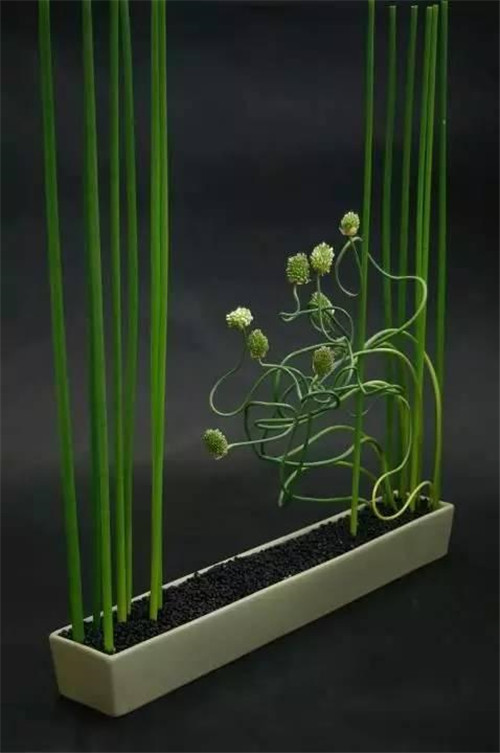 令你耳目一新的意境花藝