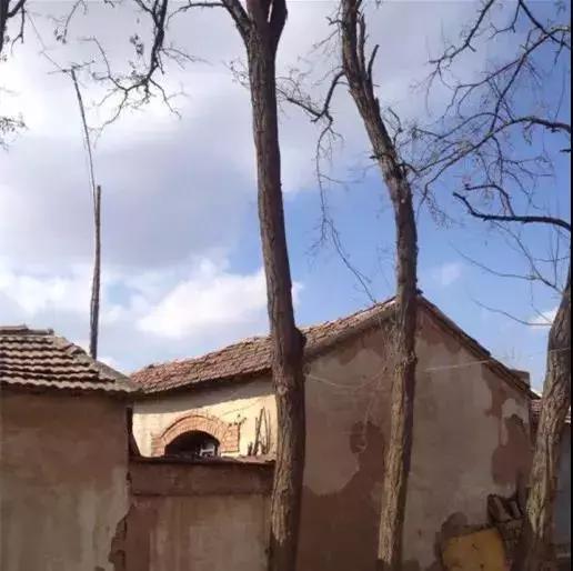 公共藝術如何激活城市與鄉村