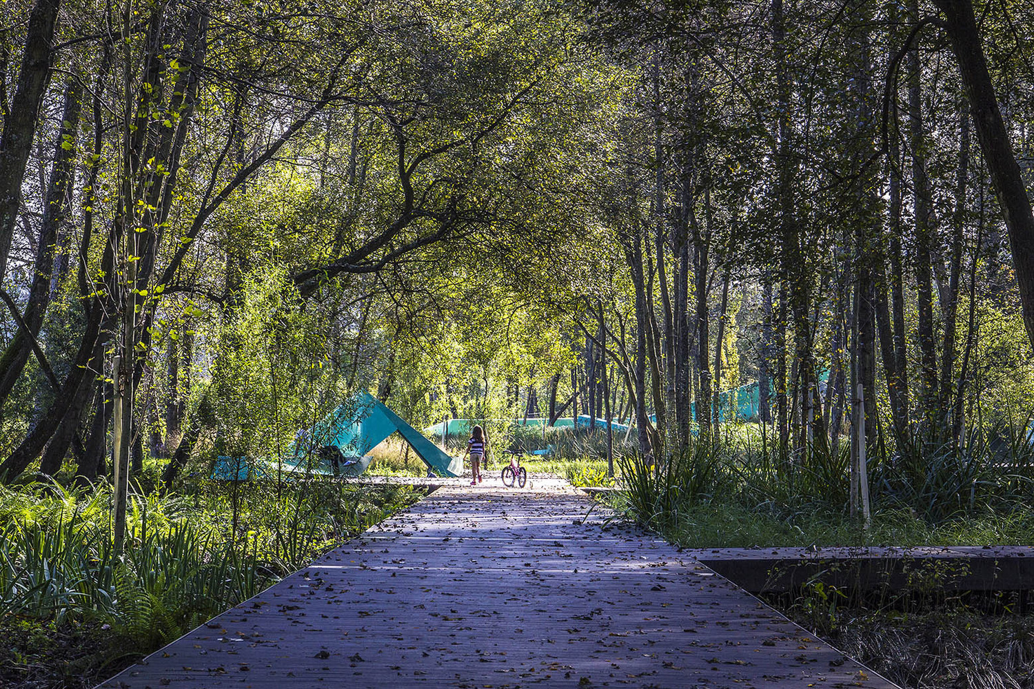 葡萄牙蒂爾索圣潔Ribeiro do Matadouro公園