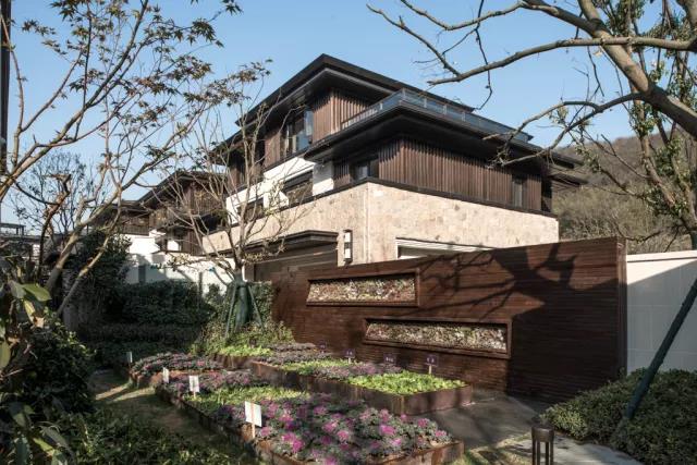 【賽肯思作品】南京高科紫微堂·細節篇