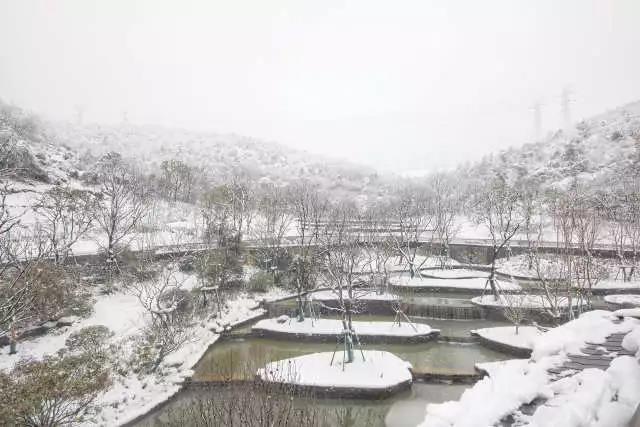 【賽肯思作品】南京高科紫微堂·細節篇