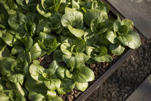 【賽肯思作品】南京高科紫微堂·細節篇