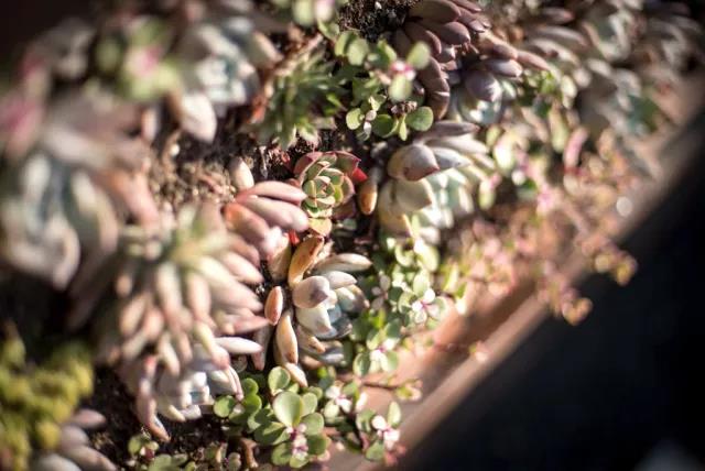 【賽肯思作品】南京高科紫微堂·細節篇